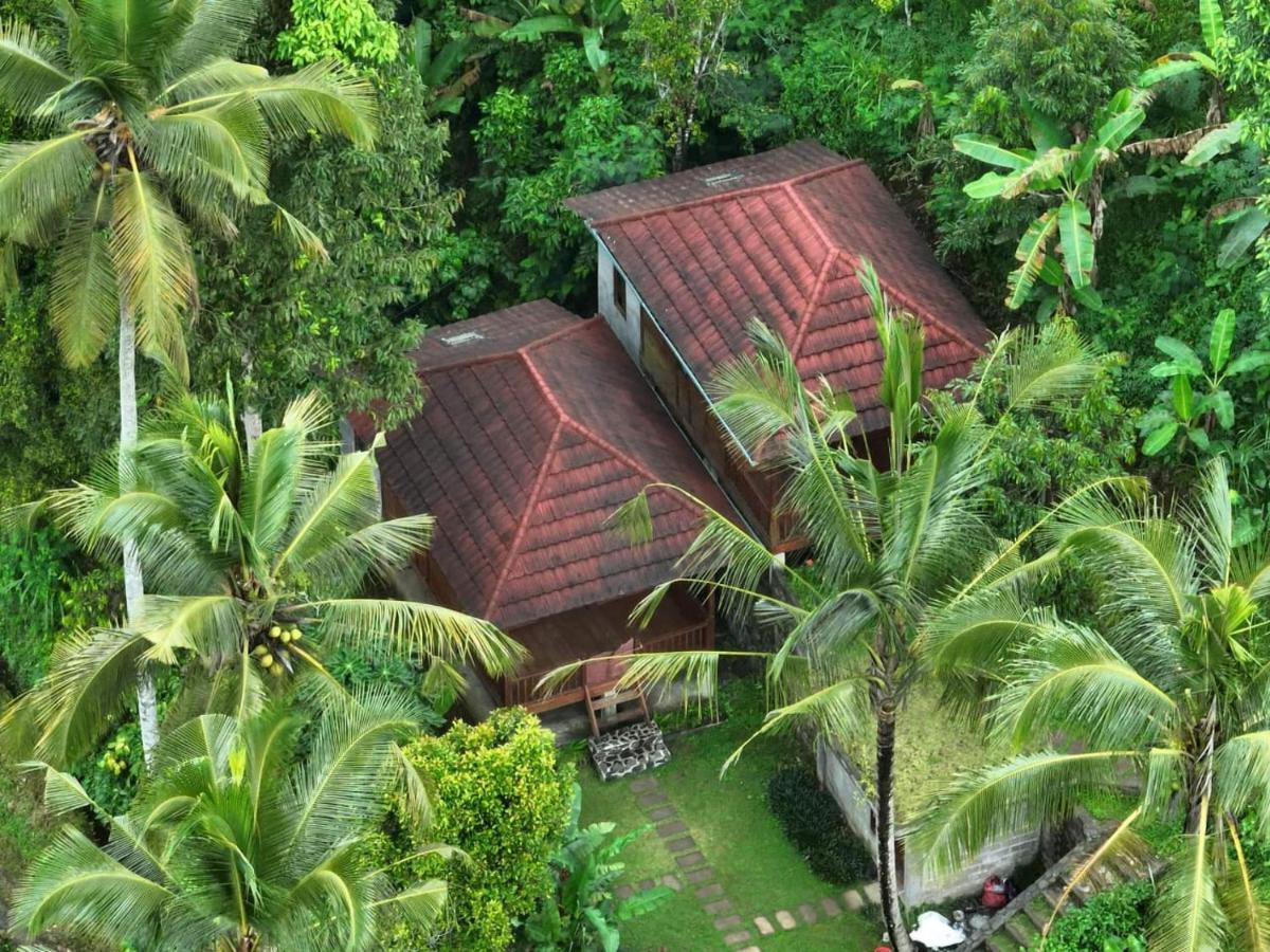 Uma D'Nyuh Homestay Singaraja Exteriör bild