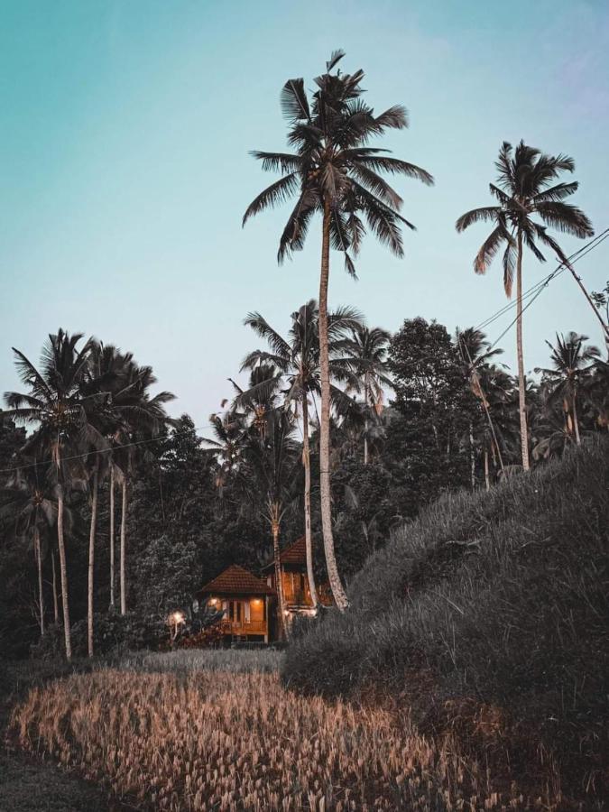 Uma D'Nyuh Homestay Singaraja Exteriör bild