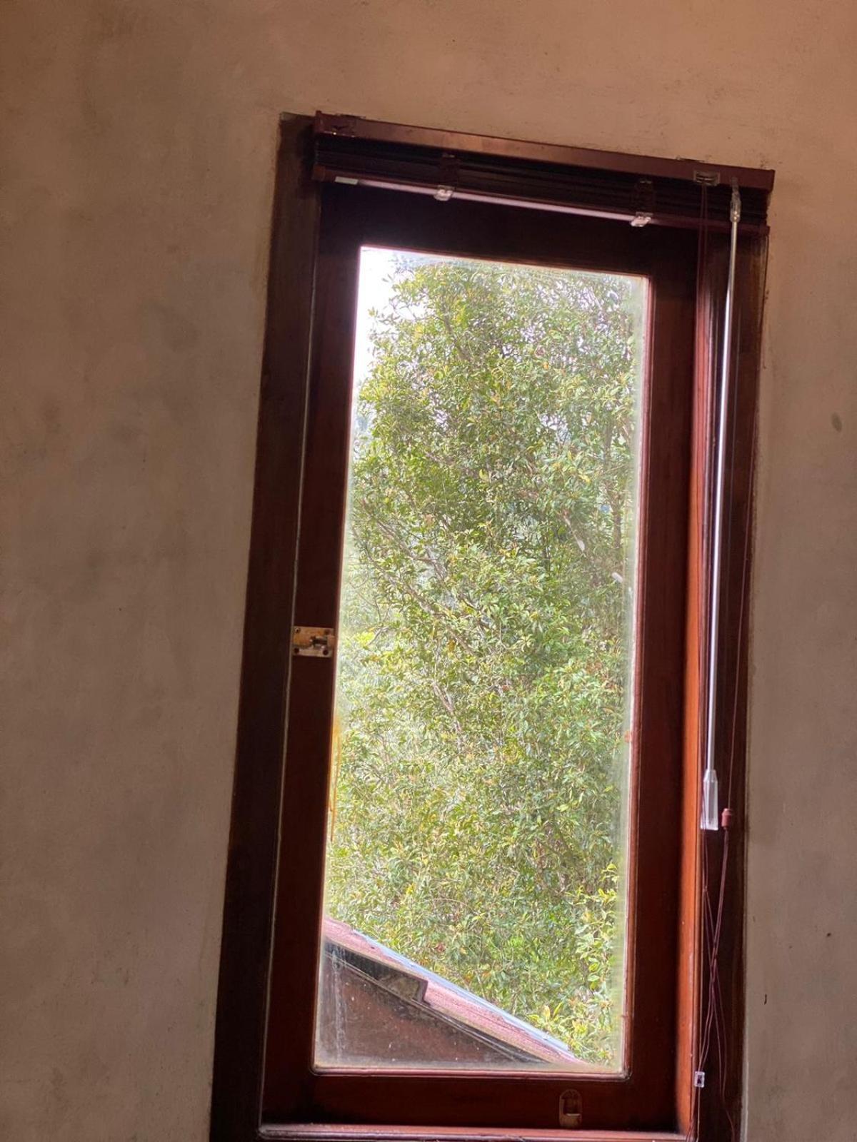 Uma D'Nyuh Homestay Singaraja Exteriör bild