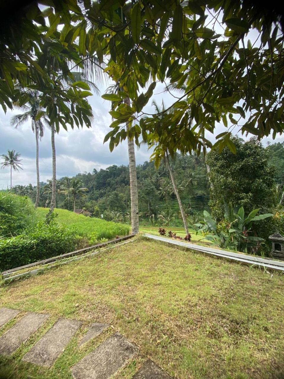 Uma D'Nyuh Homestay Singaraja Exteriör bild